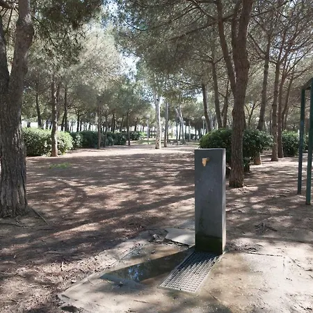 Apartment Basic Platja